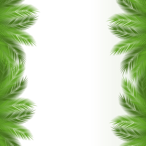 palm frame - Vector, afbeelding