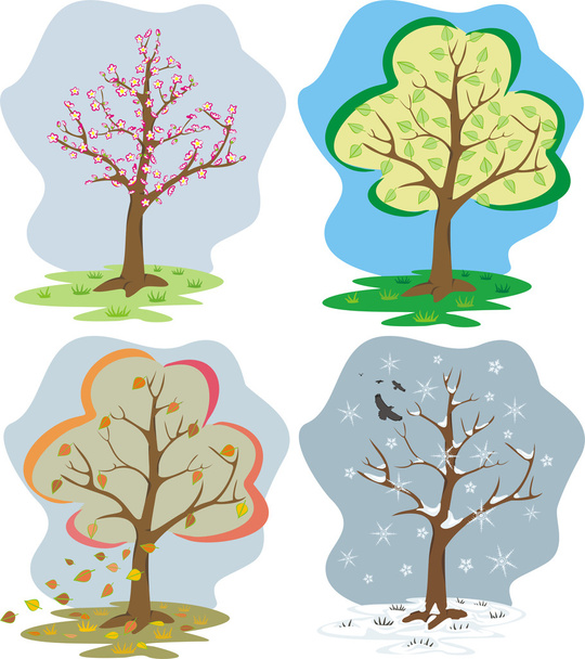 Four seasons - Vettoriali, immagini