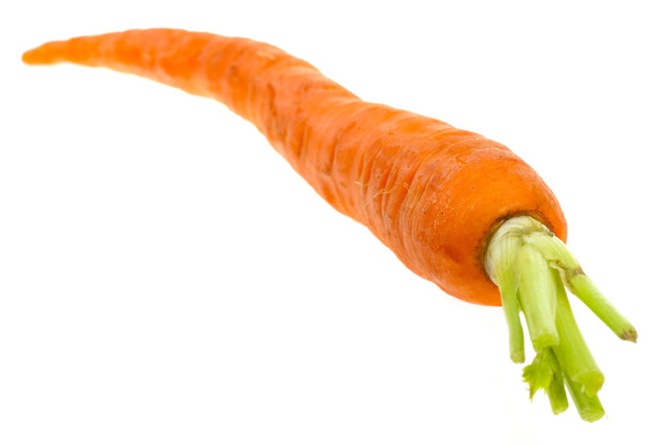 Carrot on isolated - Photo, Image