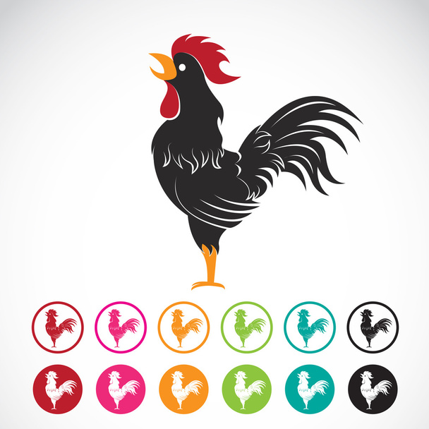 Vector image of an chicken design on white background - Vector, Image