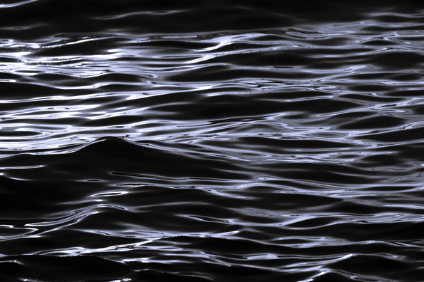 水の波紋 - 写真・画像