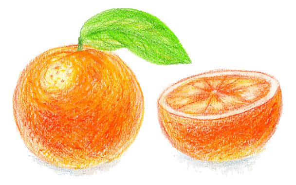 Orange fruits with leaf - Vector, Image