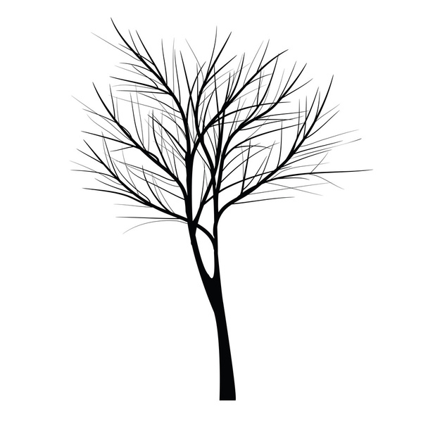 Árvores com ramo morto
 - Vetor, Imagem