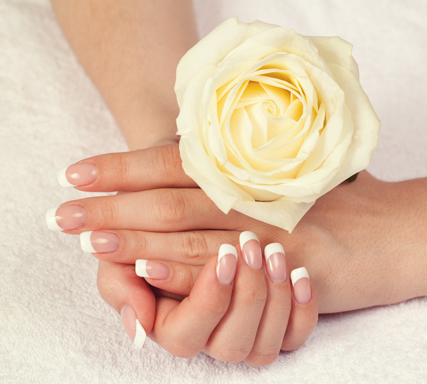 Female hands with french manicure - Foto, Imagen