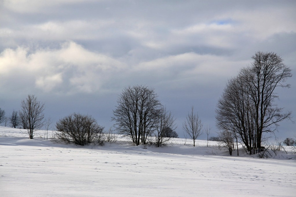 Krajobraz zimowy  - Zdjęcie, obraz