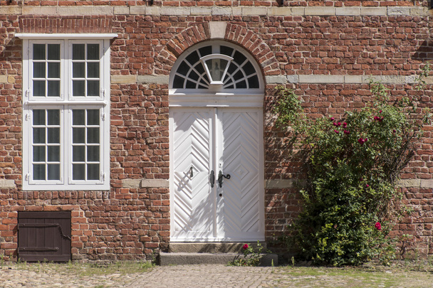 front door, transom windows and climbing rose at a typical brick - Photo, Image