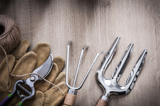 Gardening rake, fork, gloves, secateurs - Foto, imagen