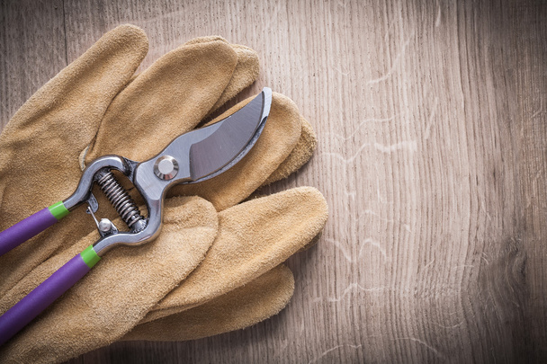 secateurs and working leather protective gloves - Foto, afbeelding