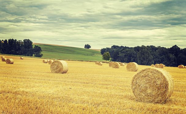 Vintage retro toned harvested field with hay bales. - Photo, Image
