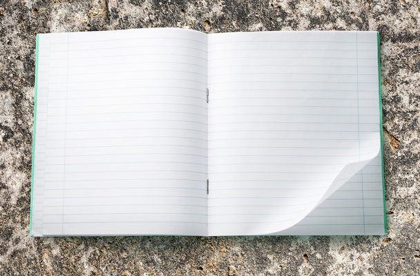 Cuaderno en blanco abierto
 - Foto, imagen