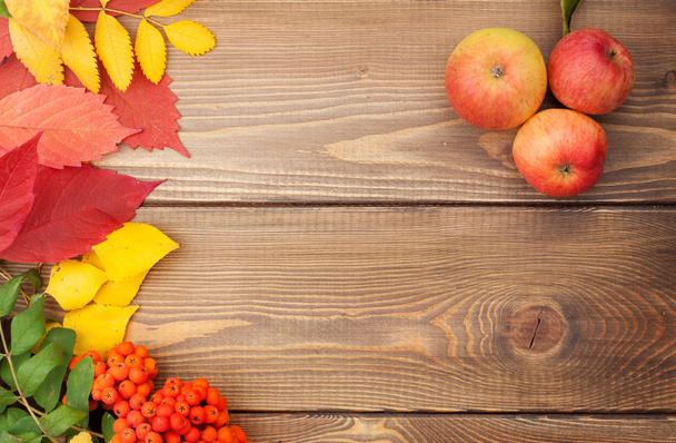 Autumn leaves, rowan berries and apples - 写真・画像