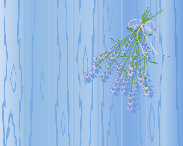 Lavender background - Вектор,изображение