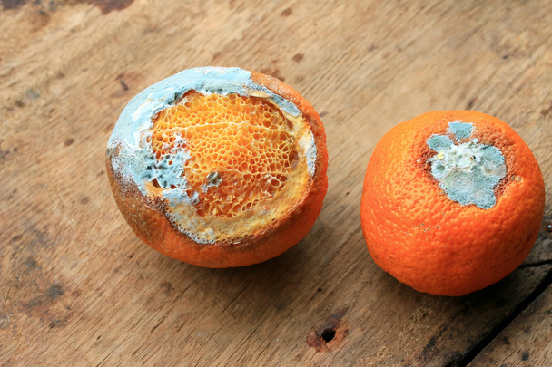 木製ヴィンテージに腐ったオレンジ色の果物 - 写真・画像