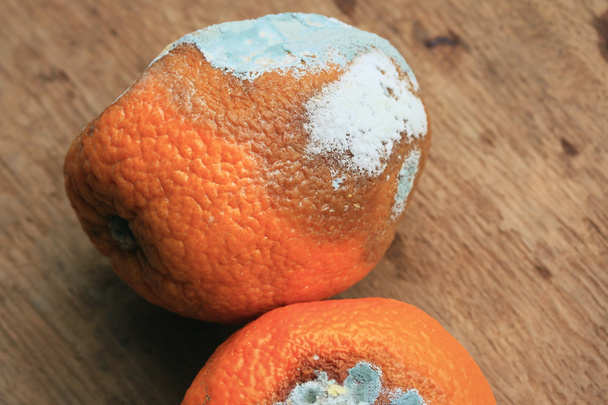 rotte oranje fruit op hout vintage - Foto, afbeelding