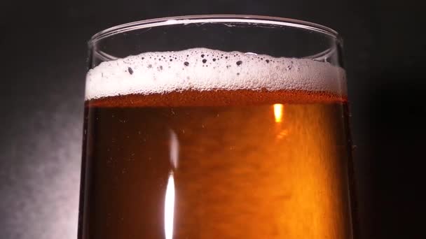 Beer pouring in glass studio isolated - Felvétel, videó