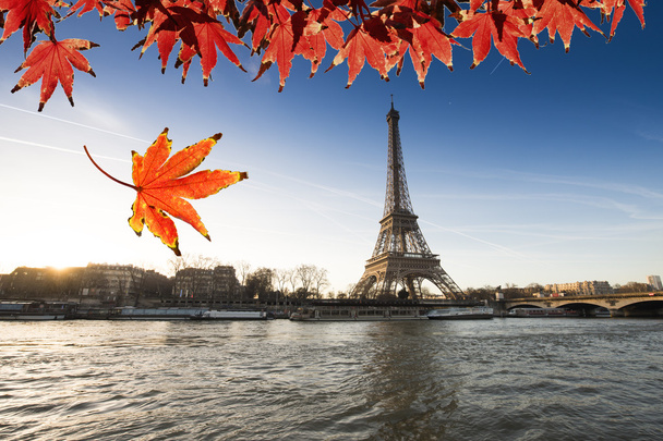 Autumn Backgrpund with The Eiffel Tower - Photo, Image