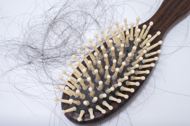 Problema de pérdida de cabello en bruch, sobre fondo blanco
 - Foto, imagen