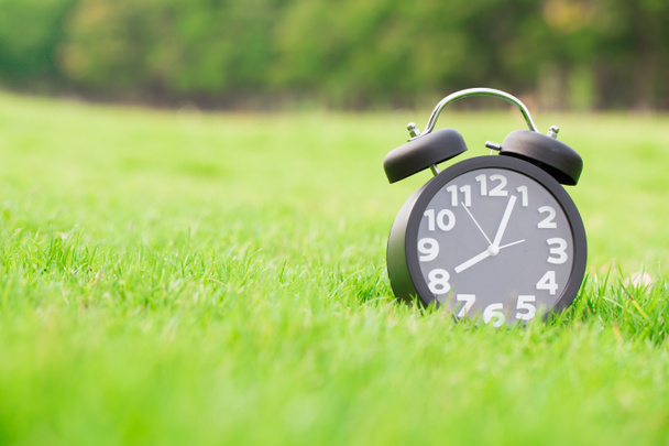 Reloj sobre hierba
 - Foto, Imagen