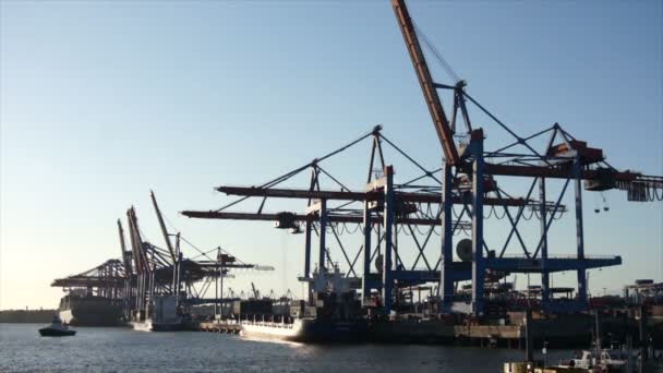 hamburský přístav při západu slunce - Záběry, video