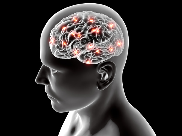 Die menschliche Anatomie der Gehirnneuronen - Foto, Bild