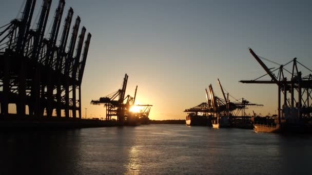 hamburgi kikötő naplementekor - Felvétel, videó