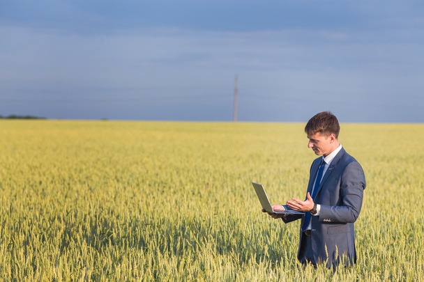 Businessman on a wheat field  - Foto, imagen