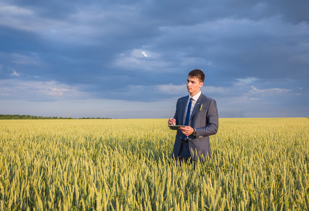 Businessman on a wheat field  - Photo, Image