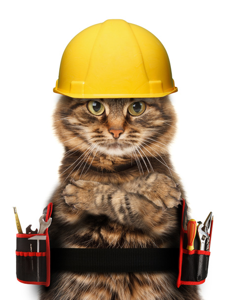 Кот-ремесленник с инструментами
 - Фото, изображение