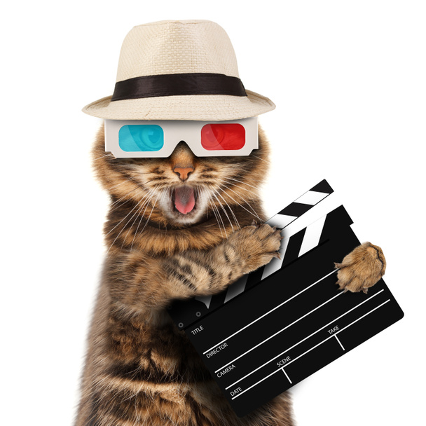 Film Yönetmen kedi - Fotoğraf, Görsel