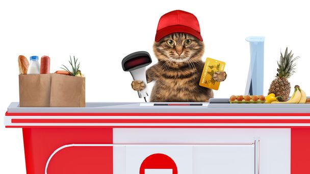 Cat working as a cashier - Photo, Image