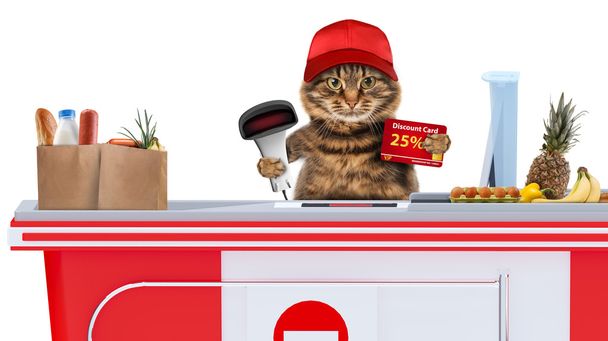 Bir kasiyer çalışan kedi - Fotoğraf, Görsel