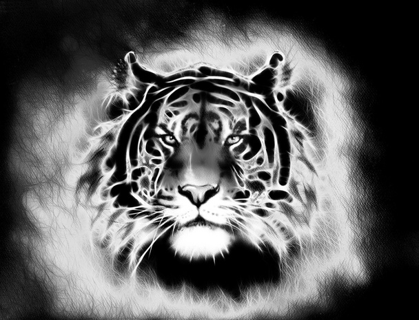peinture d'une tête de tigre puissant lumineux sur un doux ton abstrait contact visuel de fond. Noir et blanc
 - Photo, image