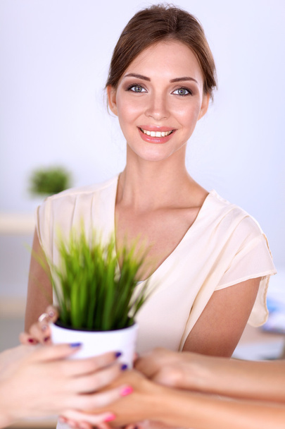 Beautiful woman holding pot with a plant, standing - Photo, Image