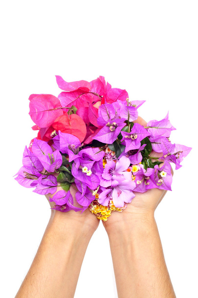 χέρια γεμάτα λουλούδια - Φωτογραφία, εικόνα