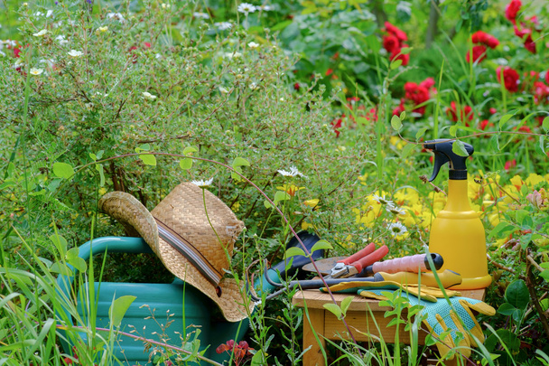 ferramentas de jardineiro
 - Foto, Imagem