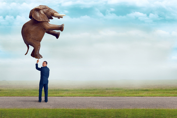 hombre de negocios sosteniendo un elefante con un dedo
  - Foto, Imagen