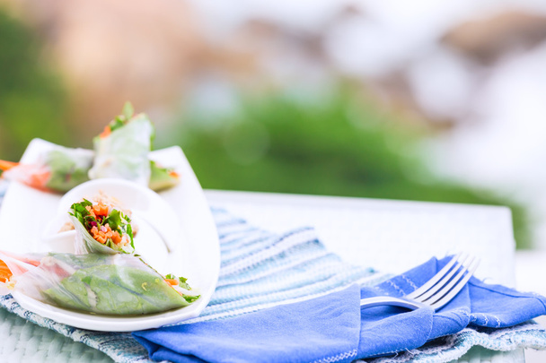 Rollos de primavera vietnamitas con verduras y cilantro en un plato
 - Foto, Imagen
