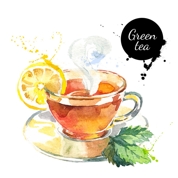 Akvarell kézzel rajzolt festett tea - Vektor, kép
