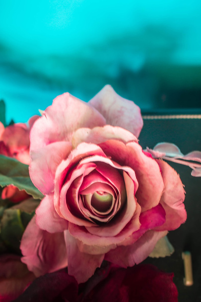 rosas rosa com borrão
  - Foto, Imagem