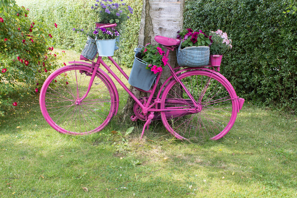 Vélo rose
 - Photo, image