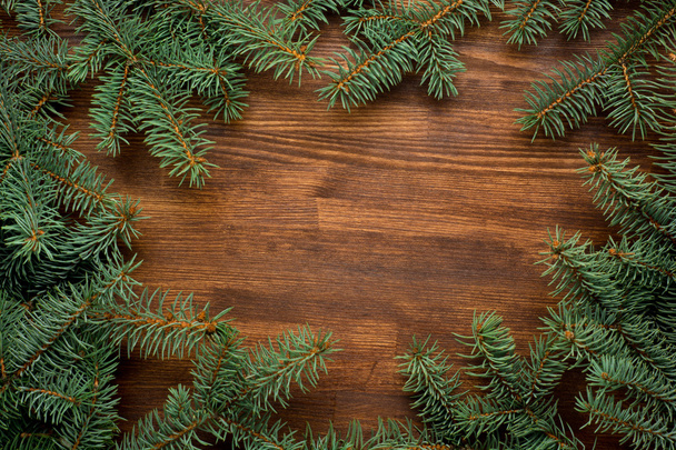 fir tree on wooden board background with copy space - Φωτογραφία, εικόνα