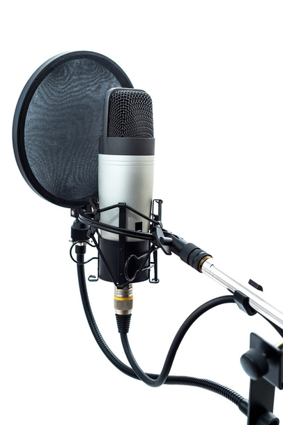 Studio microphone 8 - Photo, image