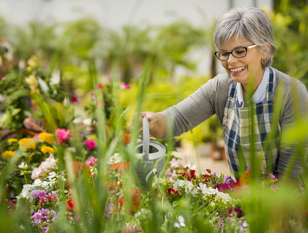 Mature woman watering flowers - Photo, Image