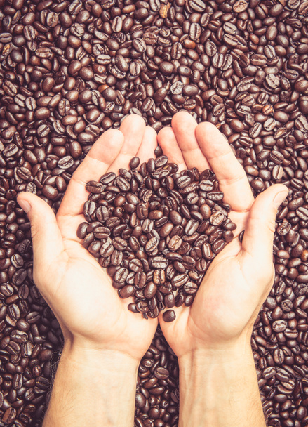 Par de manos sosteniendo granos de café
 - Foto, imagen