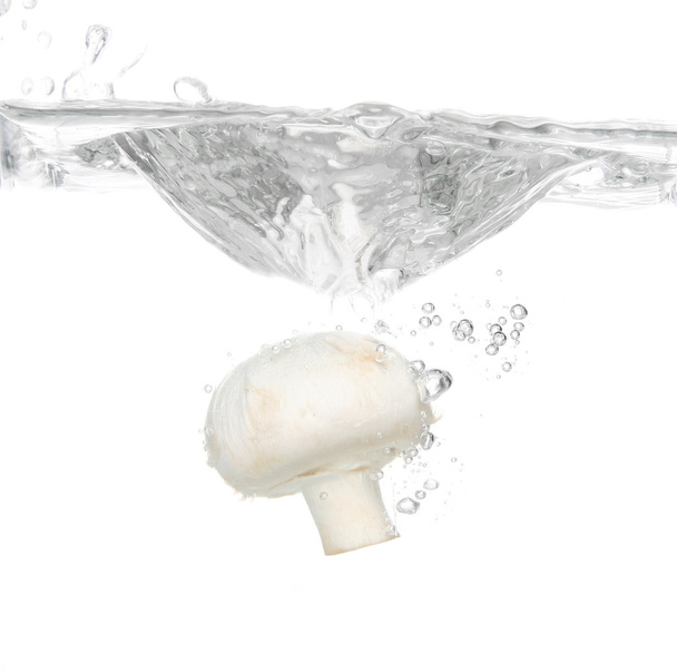 Mushroom splash - Fotoğraf, Görsel