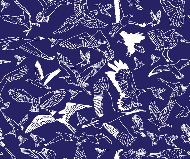 seamless pattern with birds - Vektori, kuva