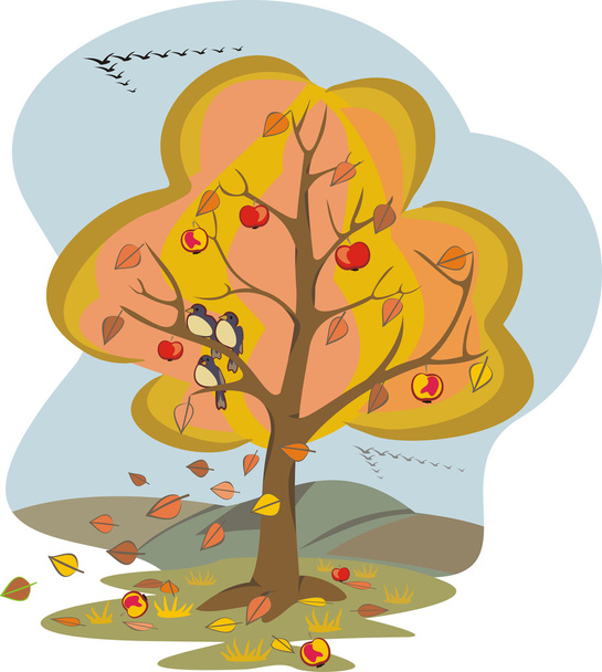 Autumn tree - four seasons - Wektor, obraz