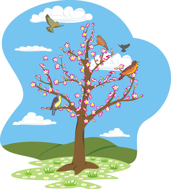 Spring tree - four seasons - Wektor, obraz