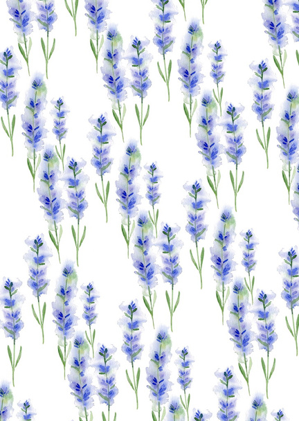 Watercolor pattern of lavender - Fotografie, Obrázek