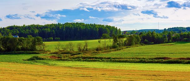 Fields, forest and sky - Photo, Image